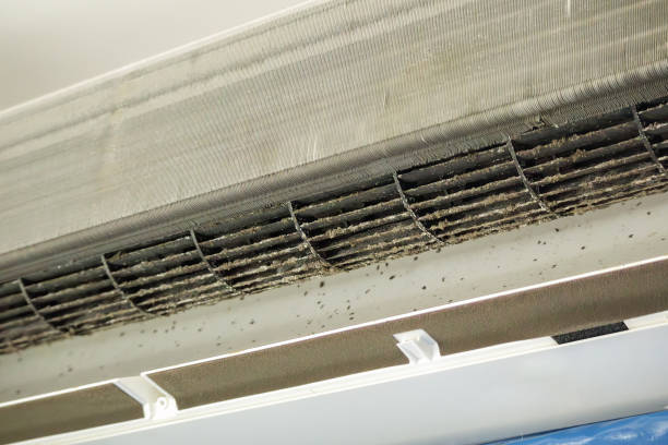 Best Affordable HVAC Duct Cleaning  in Adamstown, MD